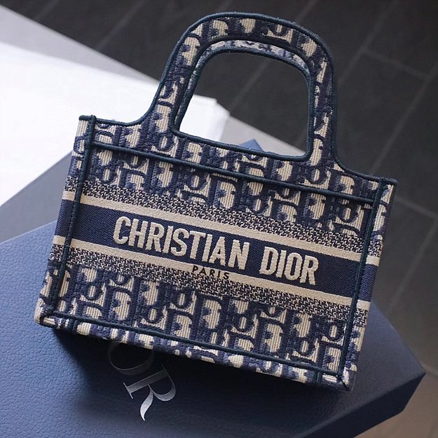 디올 북토트백 미니