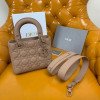 디올 레이디 MY ABCDIOR 백 스몰
