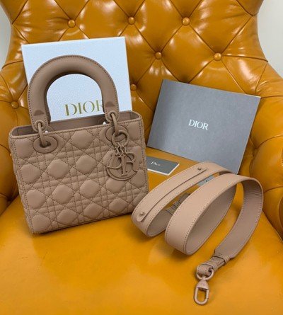 디올 레이디 MY ABCDIOR 백 스몰