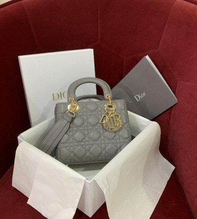 디올 레이디백 스몰 스톤 그레이