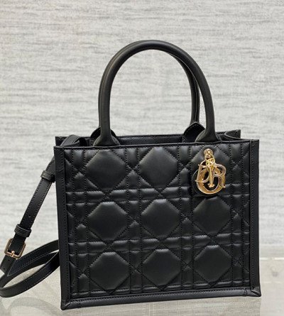 디올 북토트 백 26cm