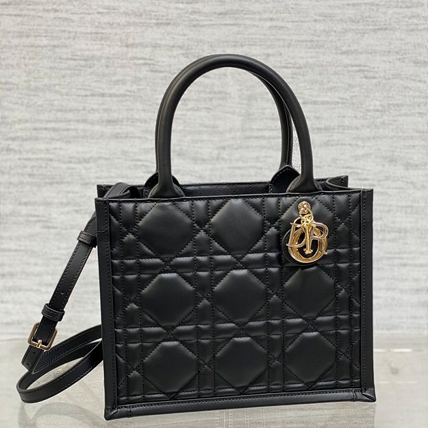 디올 북토트 백 26cm