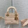 디올 디 라이트백 미니