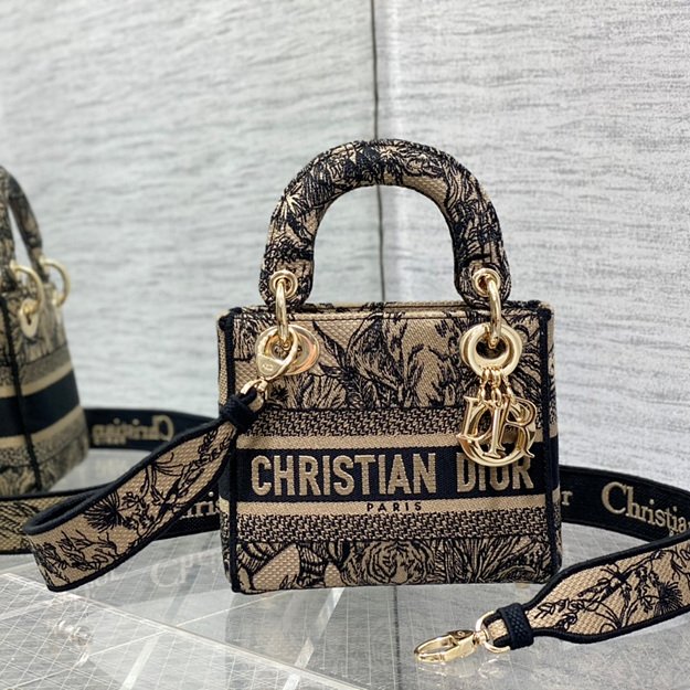 디올 디 라이트백 미니