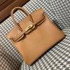 에르메스 evecolor 버킨 25cm