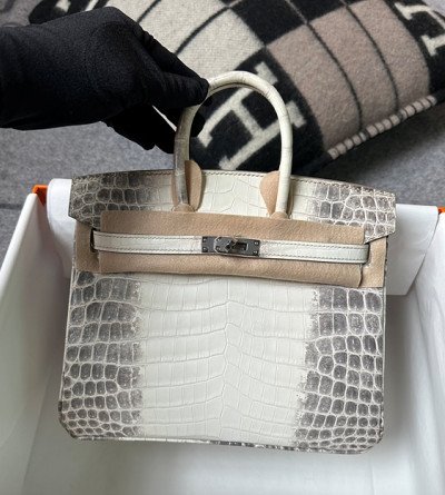 에르메스 악어 버킨 25cm