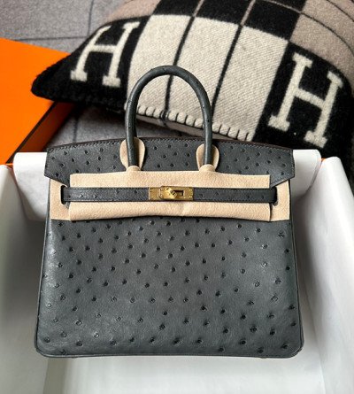 에르메스 타조 버킨 25cm